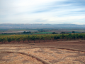 Wines of the Week: Monterey County Reds