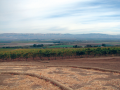 Realms of Imagination in Monterey, the great wine escape weekend