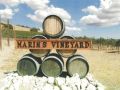Martin’s Vineyard 2005 Syrah / Monterey County