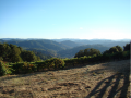 Winery of the Week: Judson Hale – Mendocino County