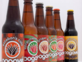 Oogave Sodas: The Power of Nectar