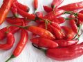 Cooking with Chile Peppers: Myths, Misconceptions, & Realities