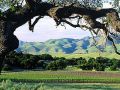 California Bordeaux Part 5: Santa Barbara County