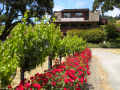 Wines of the Week: Yorkville Cellars – Mendocino County