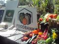 Panera Bread Participates in Santa Barbara County Foodbank “Grow Your Own Way” Program