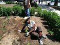 Making a Big Difference Through the Simple Act of Gardening