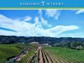 Exploring the Wines of Dry Creek Valley Part 2 – Kokomo Winery