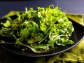 Broccoli, Quinoa and Purslane Salad