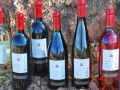 Wines of the Week: Gustafson Family Vineyards