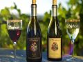 Winery of the Week: Seebass Vineyards – Mendocino County