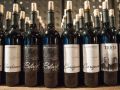 Winery of the Week: Testa Vineyards – Mendocino County