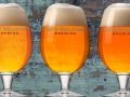 New Belgium Brings Back Sour, Spice, and Everything Nice