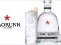 George’s Rants and Raves: Caorunn Gin