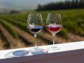 Winery of the Week: Hahn – Monterey County, Ca