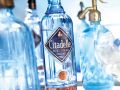George’s Rants and Raves: Citadelle Gin