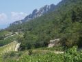 Winery of the Week: Louis Bernard – Rhone Valley, France