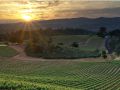 Winery of the Week: Shannon Ridge – Lake County, Ca