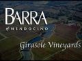 Wines of the Week: Barra & Girasole Vineyards – Mendocino County, Ca