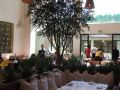 Fig & Olive Restaurant’s 2016 Emmy Award Luncheon