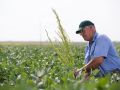 Soy Producers Remind Administration:  We Are Affected by Trade Tariffs