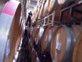 French Barrel Makers Association: The Power of Know How