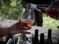 Silicon Valley Wine Auction Grand Tasting to feature Local Wines