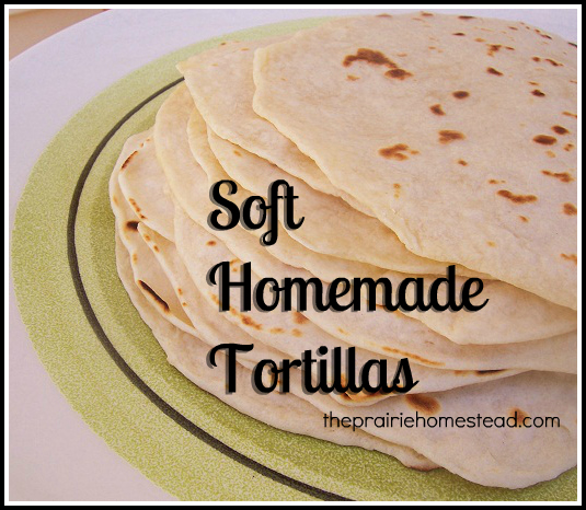Make Your Own Tortillas