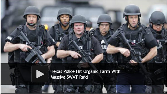 Texas Police Hit Organic Farm With Massive SWAT Raid_huffpost_Screenshot (273)