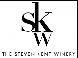 sk -logo