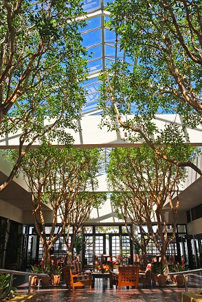 The Lower Lobby