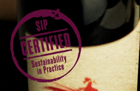 SIP logo3