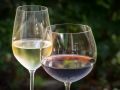 Wines of the Week: Bargain Blends